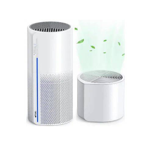 Which one is better air purifier or dehumidifier?
