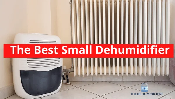 Best Small Dehumidifier