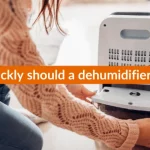 How quickly should a dehumidifier fill up