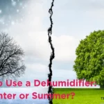 When to Use a Dehumidifier Winter or Summer