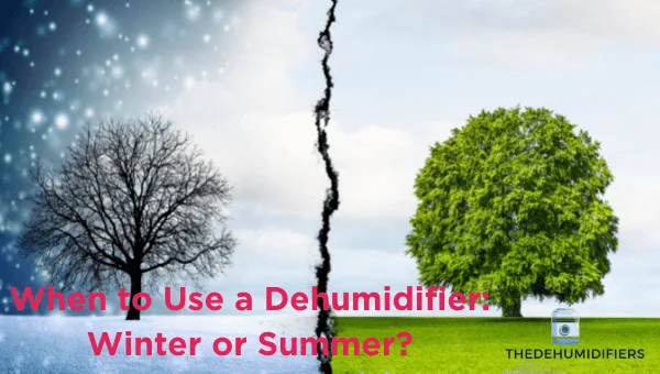 When to Use a Dehumidifier Winter or Summer