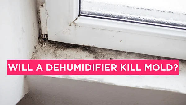Will‌ ‌A‌ ‌Dehumidifier‌ ‌Kill‌ ‌Mold