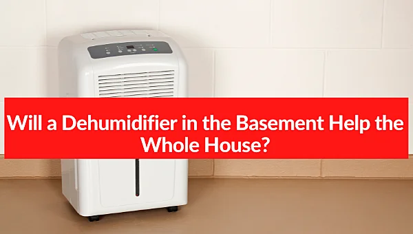 Can one dehumidifier do a whole house?