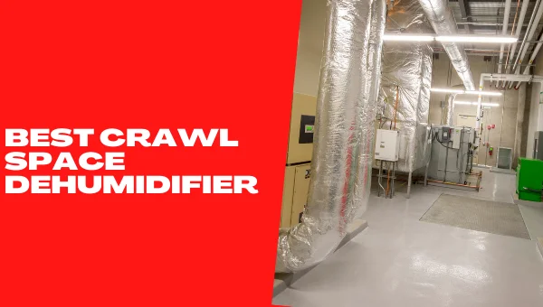 Best Crawl Space Dehumidifier
