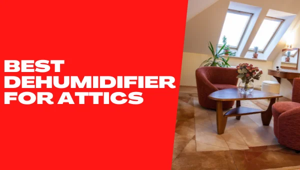 Best dehumidifier for attic