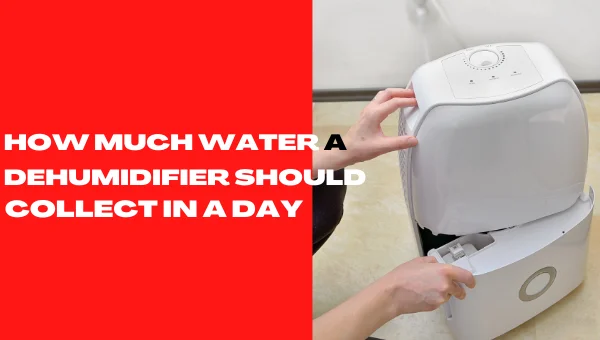 How Much Water a Dehumidifier Should Collect in a Day