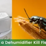 Dehumidifier Kill Fleas