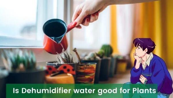 Is Dehumidifier water good for Plants