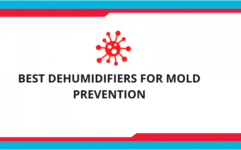 Best Dehumidifiers For Mold Prevention