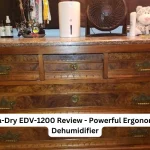 Eva-Dry-EDV-1200-Review